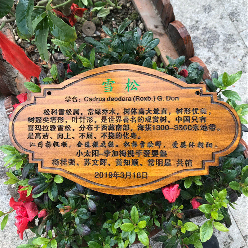 树牌花草牌树木植物装饰木牌挂牌警示牌广告牌提示牌标识牌