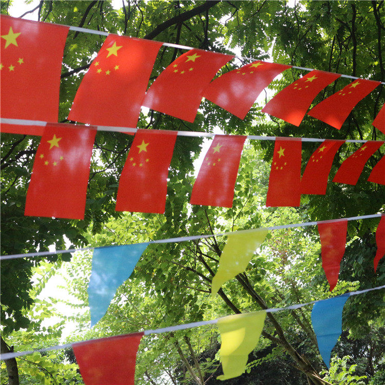 国旗串旗吊旗五星红旗挂旗彩旗商场会场国庆装饰手摇旗手挥小国旗