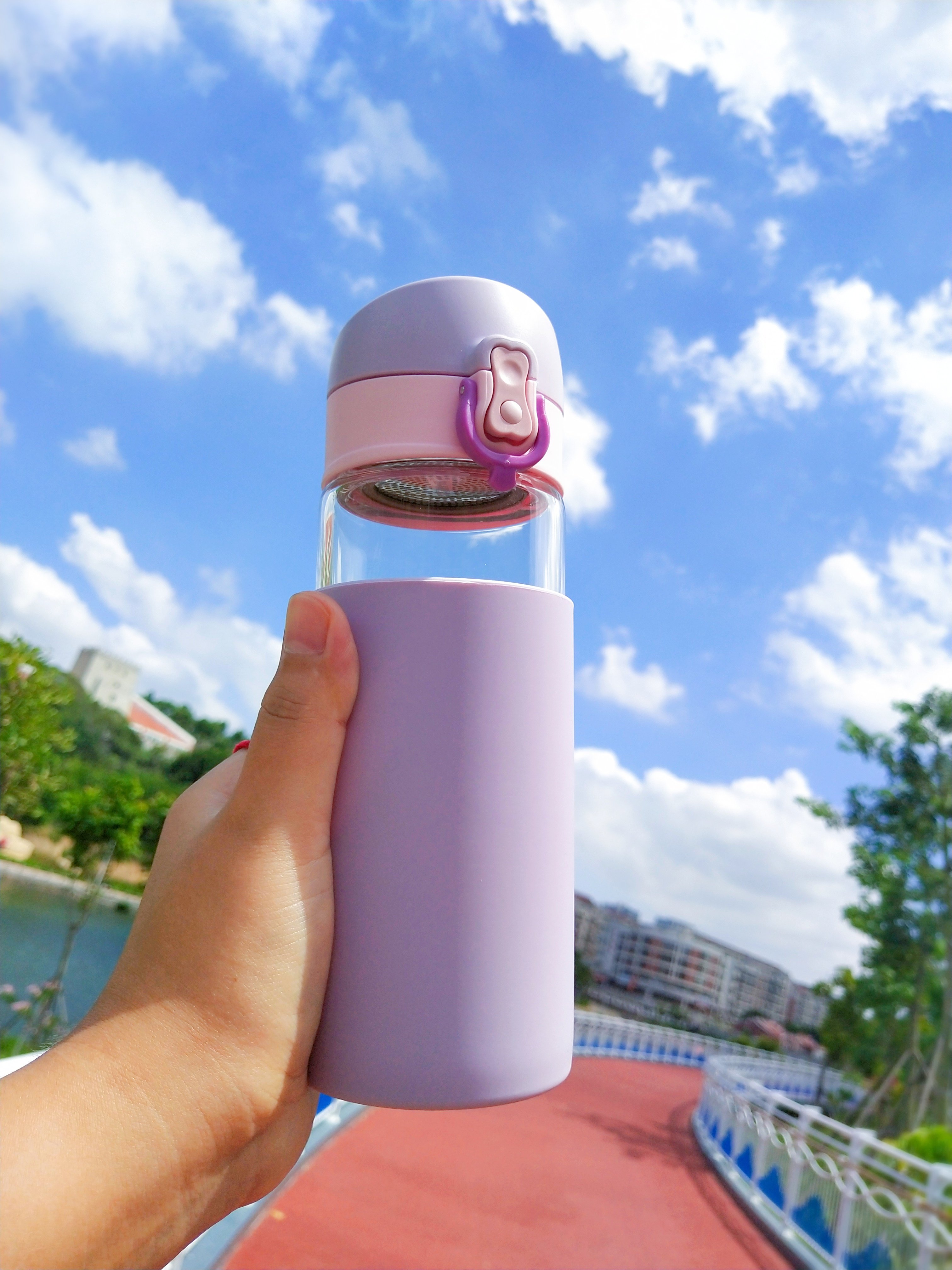 玻璃杯便携女茶水分离泡茶杯子茶杯个人专用女士水杯防烫手象普