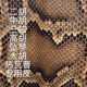 Erhu Python Skin Yuehu Zhonghu Zhamunian Rewapu 비행 진양소 피부 가오후 Qinskin 피부 피부 Erhu Python Skin Yuehu Zhonghu Zhamunian Rewapu 비행 진양소 피부 가오후 Qinskin 피부 피부