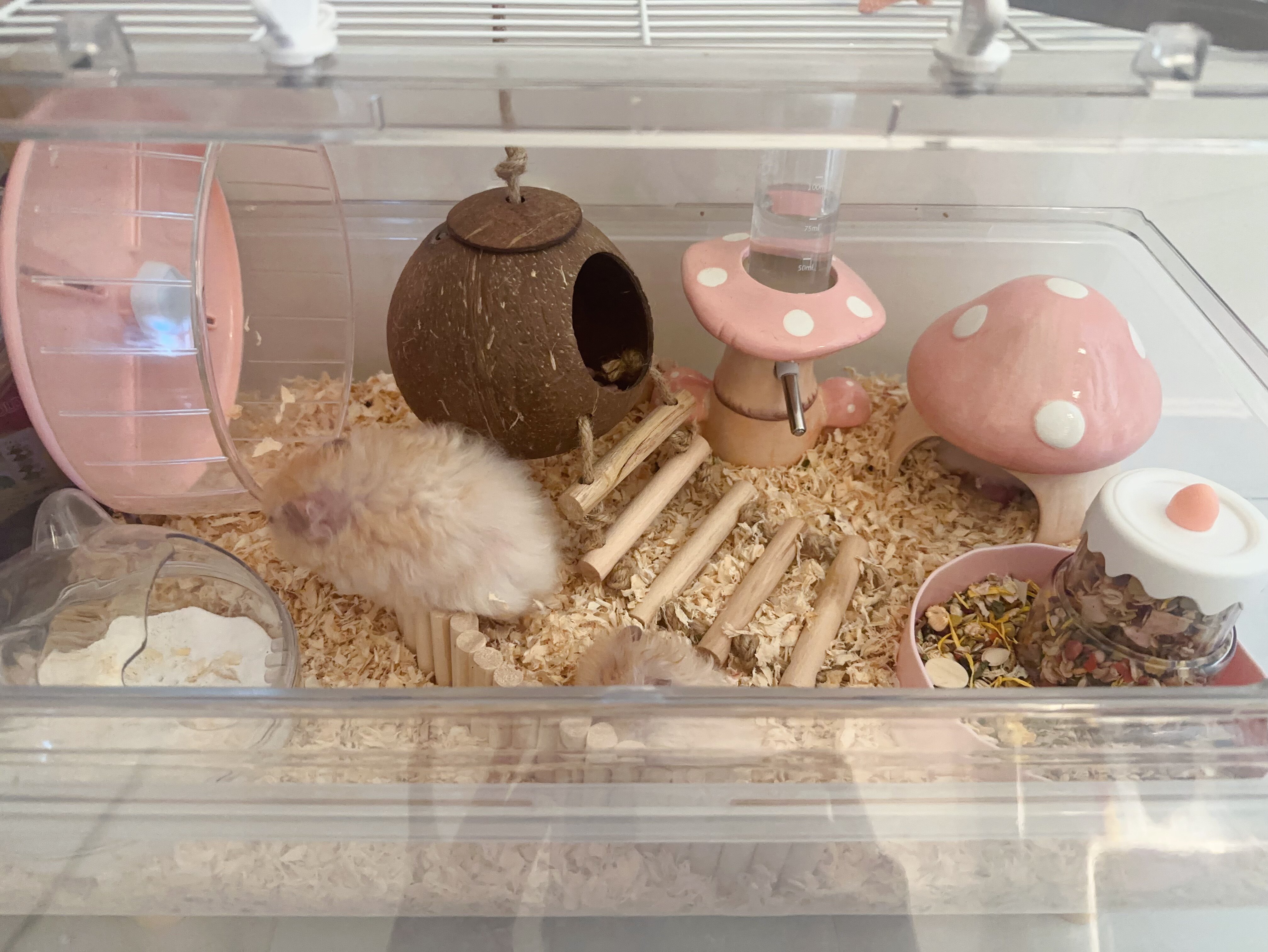 诺可乐仓鼠椰壳窝躲避屋玩具椰子金丝熊房子小窝夏天降温造景用品
