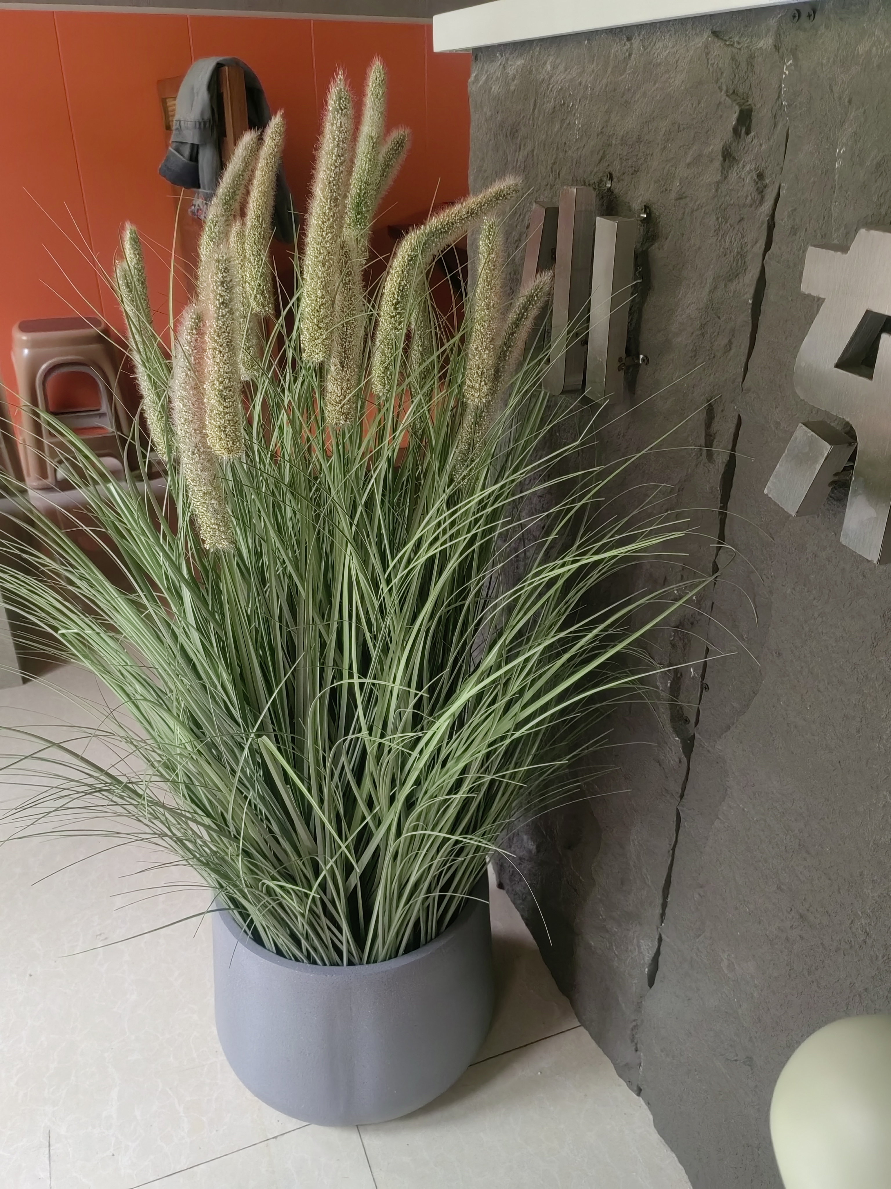 狗尾巴草仿真花芦苇草假草团绿植室内客厅猫尾草花箱高级装饰造景