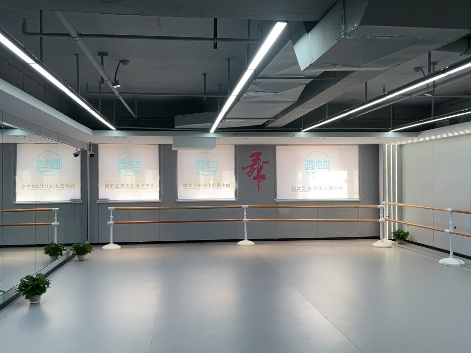 定制街舞蹈艺术培训机构教室窗帘遮光卷拉式电动升降广告logo卷帘