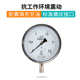 상하이 Jiangyun Y-150BF 기기 스테인레스 스틸 압력 게이지 -0.1-60MPA 부식 방지 진동 압력 게이지 상하이 Jiangyun Y-150BF 기기 스테인레스 스틸 압력 게이지 -0.1-60MPA 부식 방지 진동 압력 게이지