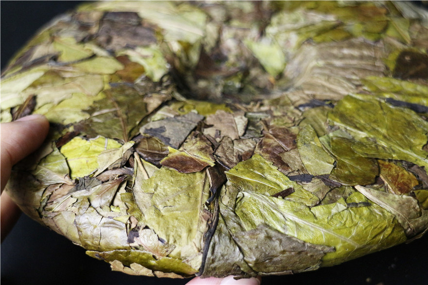 3 036#【冬叶5片*300克】 2016年料黄金叶 福鼎白茶