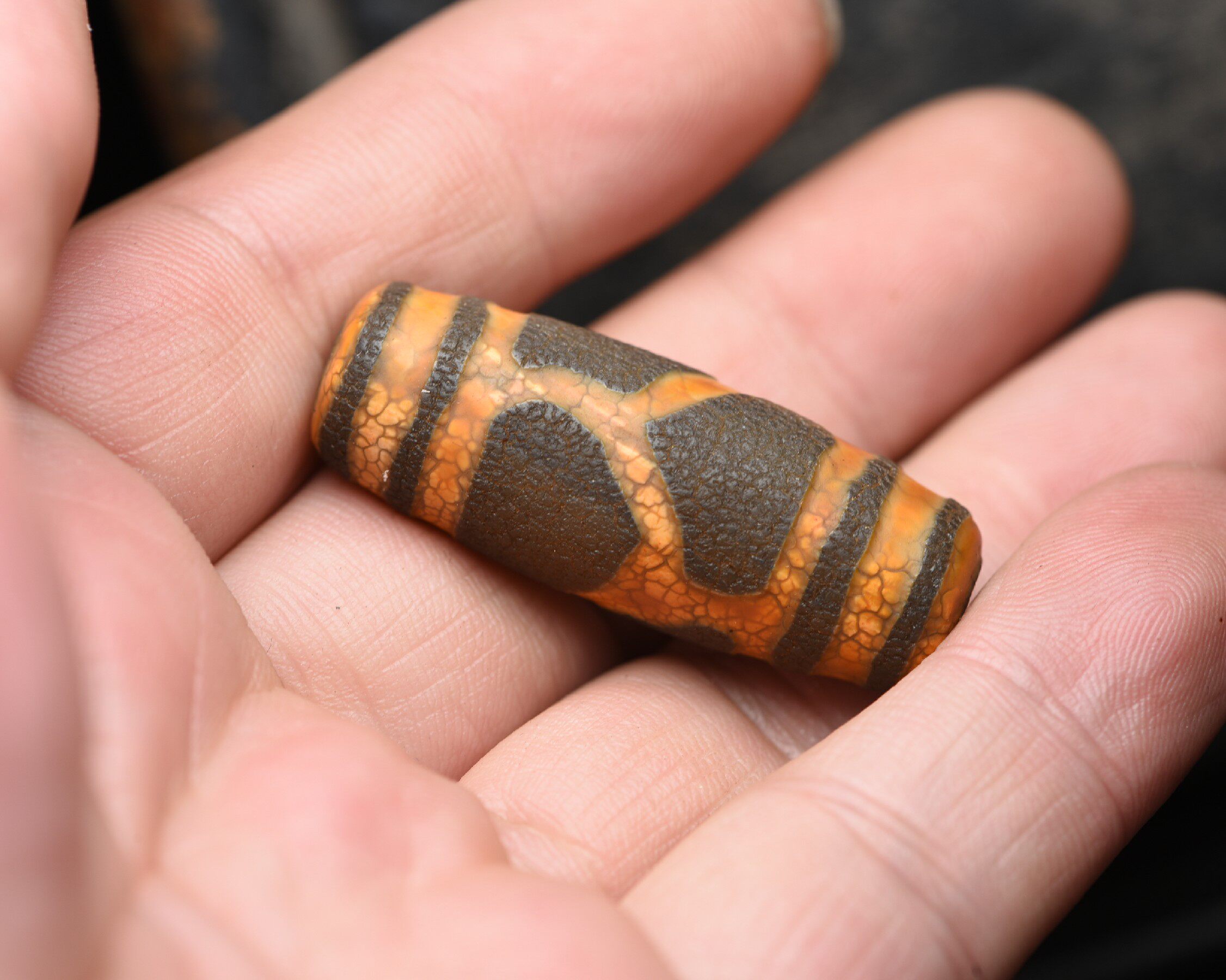 【鬼市】藏传钙化天珠-6131