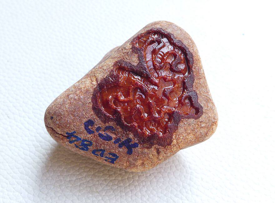 小精品油性红翡玉石缅甸正品a货翡翠原石毛料176.72g