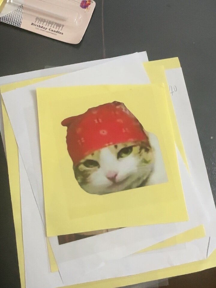 tlp反光贴 自由的猫猫 红头巾香蕉猫 平板平面遮盖防