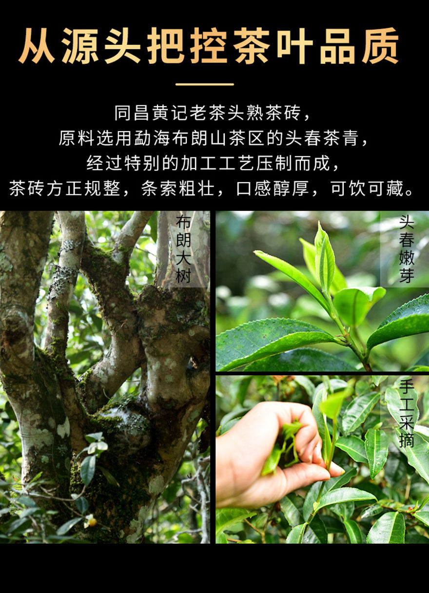 [捡漏]3片2019年地道勐海味老茶头砖熟茶普洱茶熟茶砖
