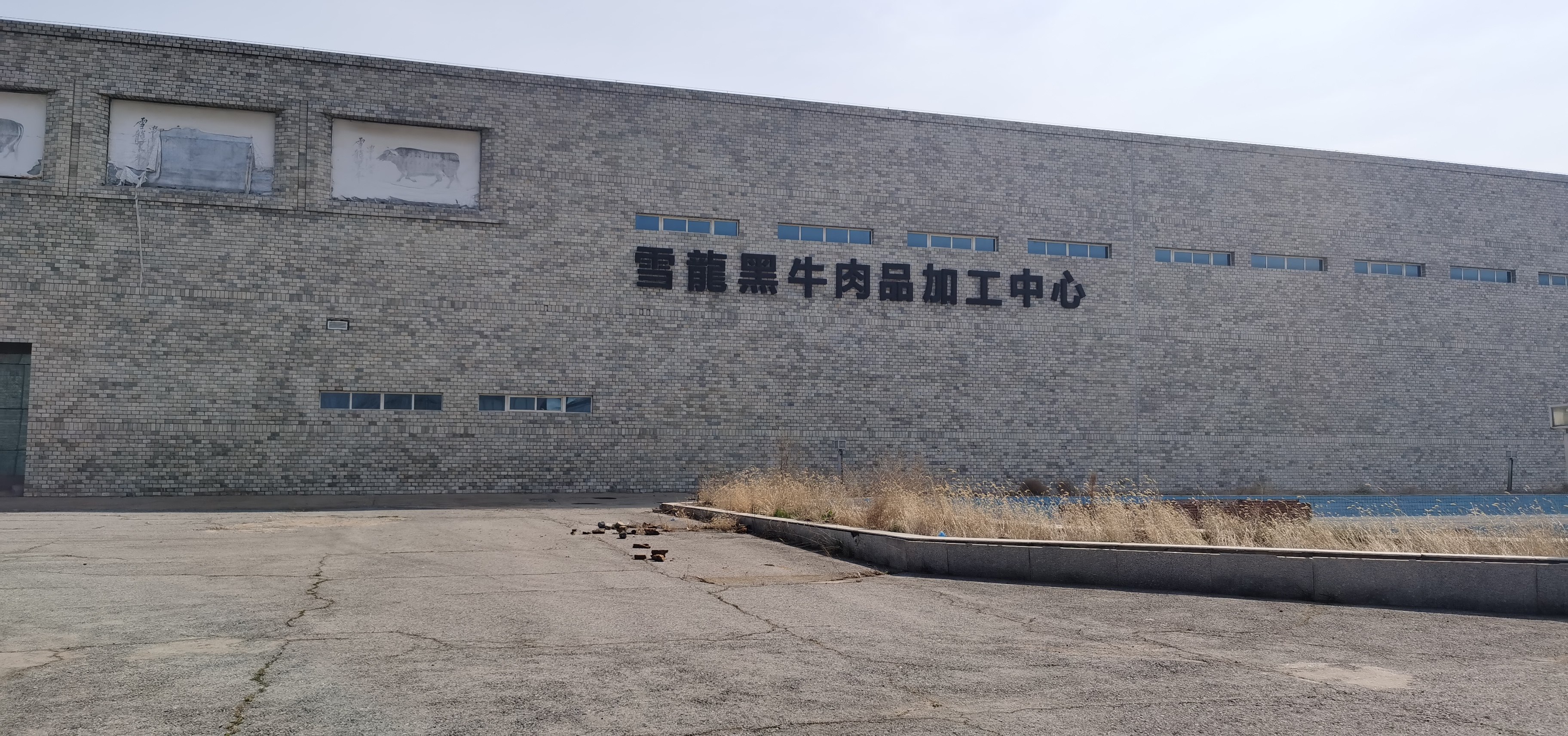 中国长城资产管理股份有限公司大连市分公司对雪龙黑牛股份有限公司