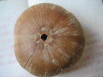 Old mushroom head rub hand twisted hands grinding hands shaft pieces of play seeds 66 Ancient miscellaneous collection