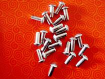 Stainless steel rivets authentic 304 semi-round head rivets GB867 4*10 10 5 13 13 5mm