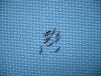 Special bulk fishing gear for eight - eight - word fishing accessories