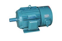 Frequency conversion motor {can be equipped with reducer}