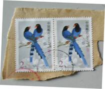 The P 31 birds 200-minute credit ticket is 20-1 yuan