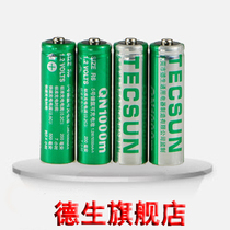 TECSUN Desheng QN1000 5 Ni-MH rechargeable battery four sections