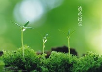 Freight 1 yuan shoot to make up the difference how much other style lamps deposit ZhcMlKRNIC