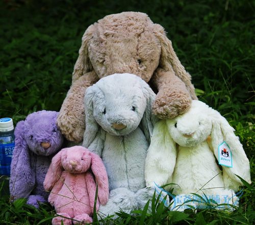 现货 美国购 jellycat 毛绒兔/邦尼兔 害羞兔 苏瑞吴佩慈同款_7折现价