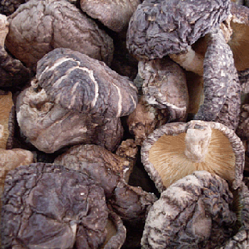 山柴情山珍纯天然清香椴木香菇香甜美舌尖上的中国美食2_7折现价130元