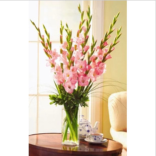 求婚婚礼生日祝福剑兰鲜花瓶装花乐平上饶新余公主岭市鲜花店速递