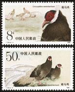 Rare bird stamp Brown Horse Chicken