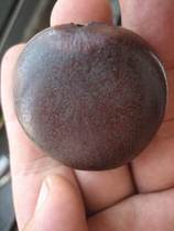 Oval Tree Seed Rubbed Hand Piece Handpin Handpin 66