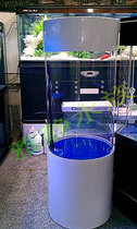 Double eleven shopping festival cylindrical aquarium acrylic fish tank to send 200 yuan ecological package