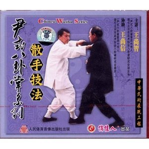 尹式八卦掌系列:散手技法1碟VCD 主讲:王尚智
