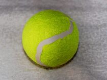 Dog favorite toy tennis pet toy touring ball color random hair limit pet play