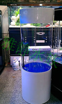 Factory direct-600 cylindrical acrylic fish tank