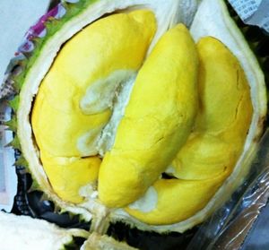 越南进口新鲜金枕榴莲 越南青皮榴莲 泰国猫山