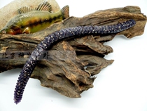 Japanese evil road Luya Soft Bait soft worm earthworm bait 19 8cm14 6 grams deep purple Luya bait bait