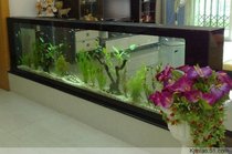 Gorgeous black mirror glass double-sided screen Fish Tank (1360*320*700)