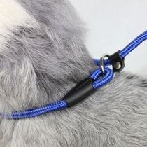 Bobo pet leash dog leash pet P chain P rope snake chain dog leash no collar required