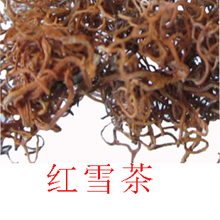 花草茶 红雪茶 血红茶干净无杂正品精品5斤包邮偏远除外