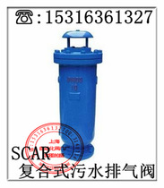Shanghai Valves-SCAR-10 16 Composite Sewage Exhaust Valve Pipeline Sewage Exhaust Valve DN80