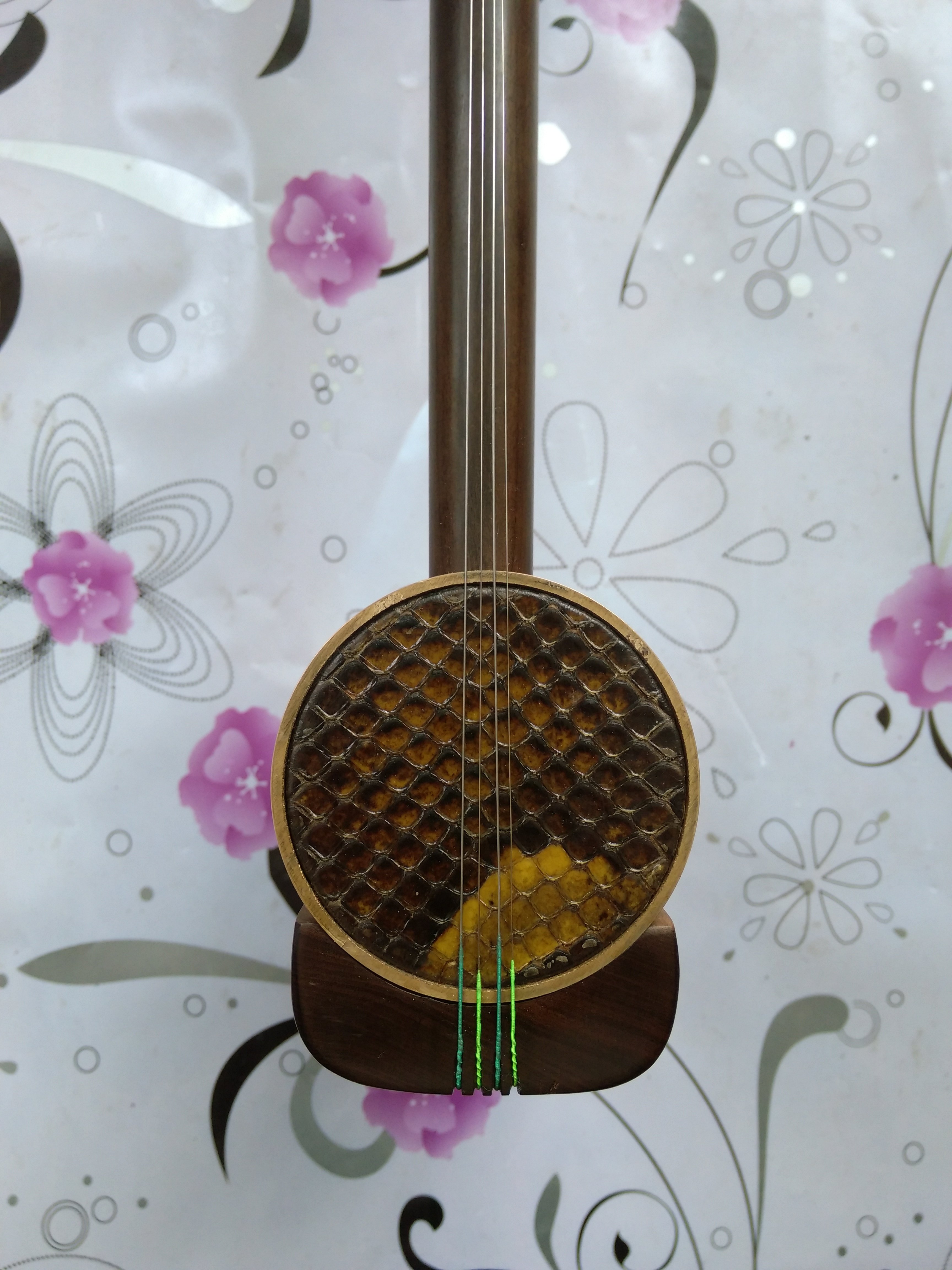 高音四胡