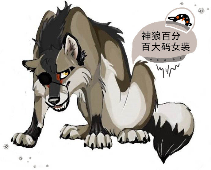 神狼百分百大码女装用心做大码的一家店