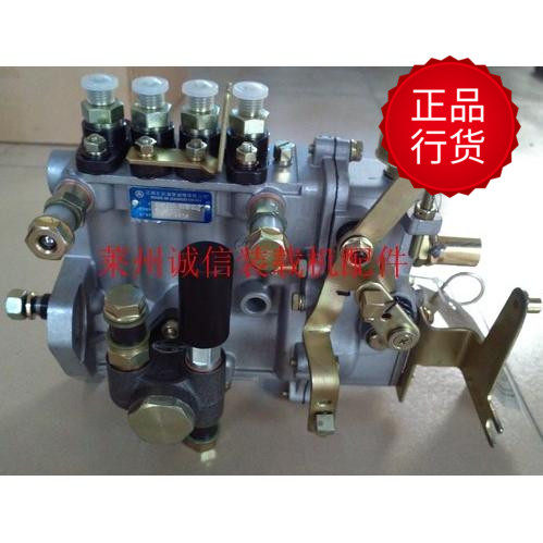Shandong Laizhou 918 920 926 928 작은 로더 Weichai 4100 4102 디젤 엔진 디젤 펌프 Shandong Laizhou 918 920 926 928 작은 로더 Weichai 4100 4102 디젤 엔진 디젤 펌프
