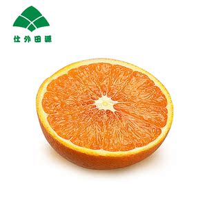 仕外田源 新鲜水果三峡秭归脐橙 橙子 脆嫩多汁
