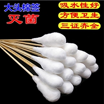 Medical disposable big head long cotton swab sterile disinfection gynecological special medical cotton swab defatted kapok 20CM