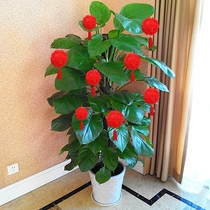 Spring Festival New Years Day lantern decoration flower wedding room decoration arrangement non-woven flower ball New Year holiday small lantern hanging decoration