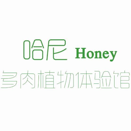 哈尼多肉 Honey