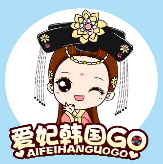爱妃韩国go
