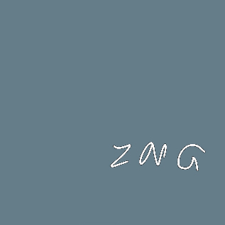 ZNG SHOP女装