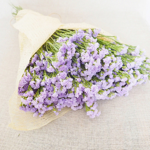 勿忘我干花永生花花束1000g家居装饰花天然真花晾晒diy特价 包邮