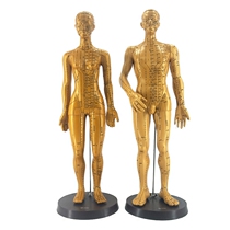 High Definition Leaf Bronze Mold Engraving Human Acupuncture Acupoint Meridian Model Human Acupoint Teaching Model Human Body Model