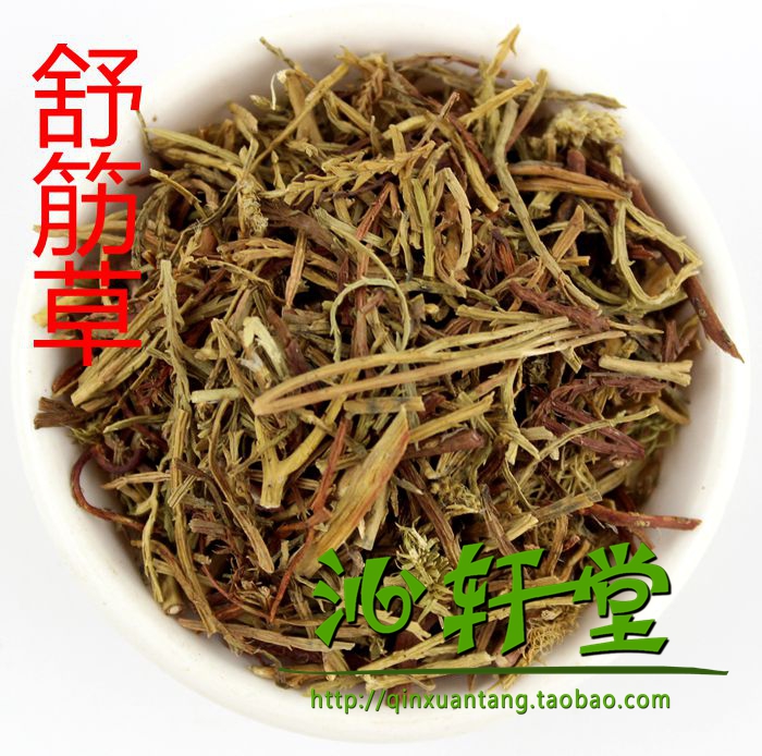 舒筋草 藤石松 石松 狮子尾 大伸筋草 50克 中药材抓药