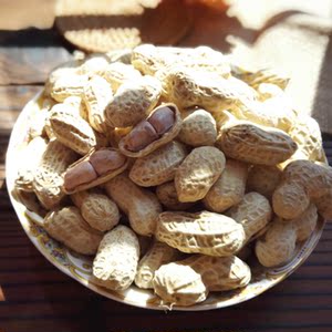 福建泉州农家自己种的盐水煮花生 水煮日晒咸