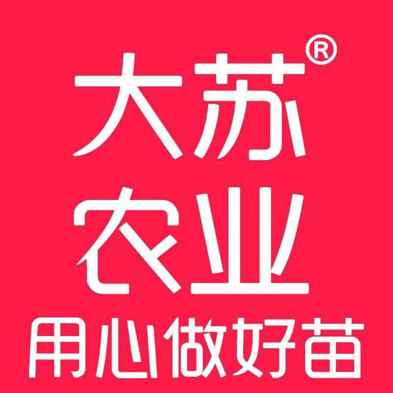 大苏农业企业店